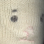 Sock Bunny Scan - Face (2003)