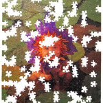 Found - aka Puzzle (2003)