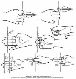 Beginners Archery - Fingers (2014)