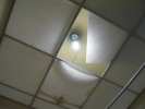 Bathroom Celling (2003)