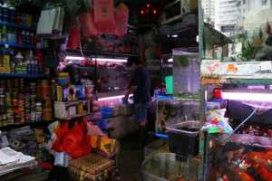 Fish Shop