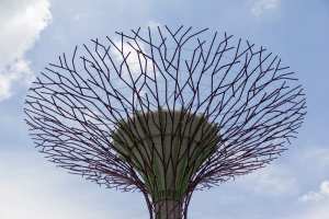 super tree (2015)